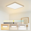 Brilagi - LED prigušivo stropno svjetlo za kupaonicu FRAME SMART LED/50W/230V 60x60 cm 3000-6000K IP44 bež + daljinski upravljač