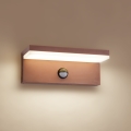 Brilagi - LED vanjska zidna svjetiljka sa senzorom TESSI LED/10W/230V smeđa IP54