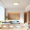 Immax NEO 07292L - LED stropno svjetlo s mogućnošću prigušivanja NEO LITE SEMPLICI LED/36W/230V 3000-6000K promjer 40 cm Wi-Fi Tuya zlatno + daljinski upravljač