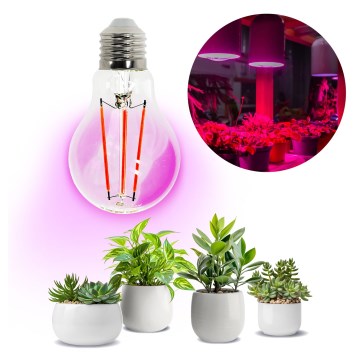 LED žarulja za rast biljaka VITABLOOM E27/8W/230V 1200K - Brilagi