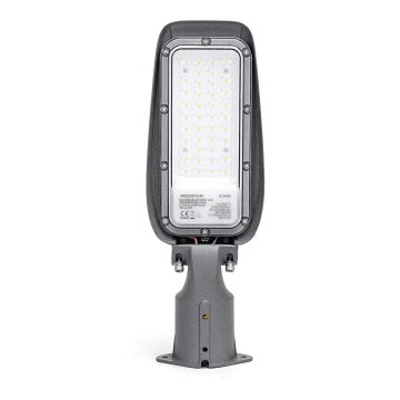 Aigostar - LED Ulična svjetiljka LED/30W/230V 6500K IP65