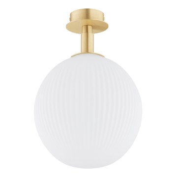 Argon 8505 - Stropna svjetiljka PALOMA 1xE27/15W/230V zlatna/bijela
