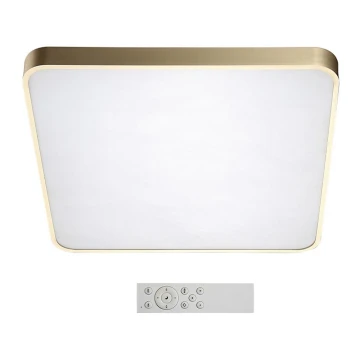 Azzardo AZ2760 - LED stropna svjetiljka za prigušivanje QUADRO 1xLED/60W/230V+DU