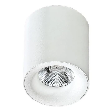 Azzardo AZ2845 - LED Stropna svjetiljka MANE 1xLED/10W/230V