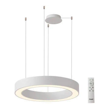 Azzardo AZ5049 - LED Prigušivi luster na sajli MARCO LED/80W/230V bijela + daljinski upravljač