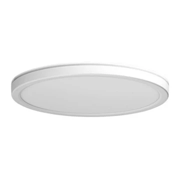 Azzardo AZ5365 - LED Prigušiva stropna svjetiljka za kupaonicu PANKA LED/24W/230V IP40 bijela