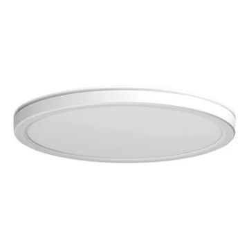 Azzardo AZ5367 - LED Prigušiva stropna svjetiljka za kupaonicu PANKA LED/24W/230V IP40 bijela
