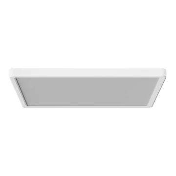 Azzardo AZ5371 - LED Prigušiva stropna svjetiljka za kupaonicu PANKA LED/24W/230V IP40 bijela