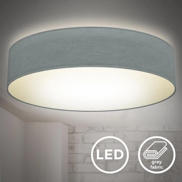 B.K. Licht 1393 - LED Stropna svjetiljka LED/20W/230V siva