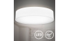 B.K. Licht 1394 - LED Stropna svjetiljka LED/20W/230V bijela