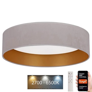 Brilagi - LED Prigušiva stropna svjetiljka VELVET SMART LED/24W/230V pr. 45 cm 2700-6500K Wi-Fi Tuya krem/zlatna + daljinski upravljač