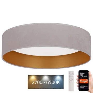 Brilagi - LED Prigušiva stropna svjetiljka VELVET SMART LED/36W/230V pr. 55 cm 2700-6500K Wi-Fi Tuya krem/zlatna + daljinski upravljač