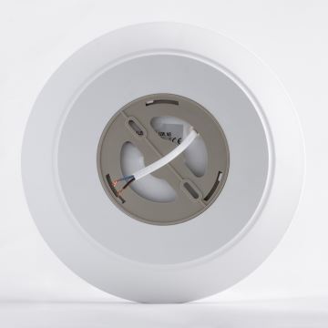 Brilagi - LED Stropna svjetiljka sa senzorom VESTAS LED/12W/230V 3000K IP54