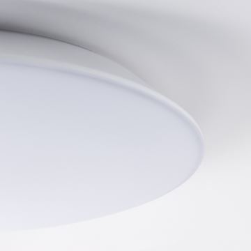 Brilagi - LED Stropna svjetiljka sa senzorom VESTAS LED/12W/230V 4000K IP54