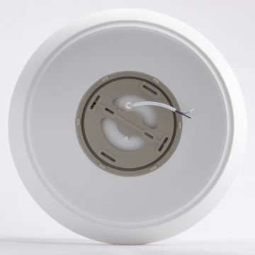 Brilagi - LED Stropna svjetiljka VESTAS LED/28W/230V 4000K IP54