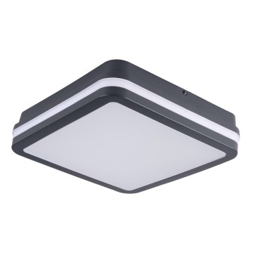 Brilagi - LED Vanjska svjetiljka BENE LED/18W/230V 22x22 cm antracit IP54