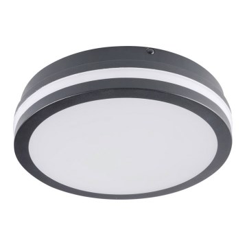 Brilagi - LED Vanjska svjetiljka BENE LED/18W/230V pr. 22 cm antracit IP54