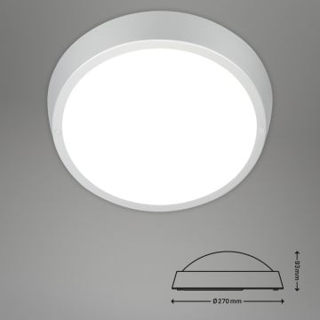 Briloner 3018-014 - LED Stropna svjetiljka za kupaonicu HAGEN LED/24W/230V IP44 bijela