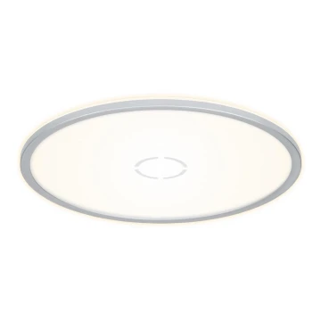 Briloner 3392-014 - LED Stropna svjetiljka FREE LED/22W/230V pr. 42 cm