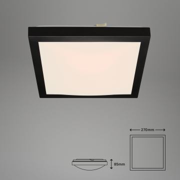 Briloner 3502-015 - LED Stropna svjetiljka FLEDO LED/12W/230V