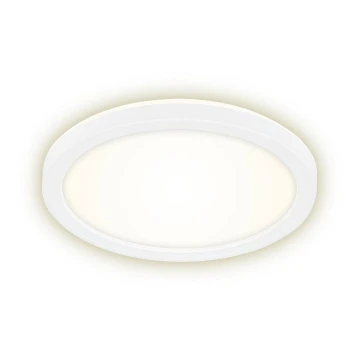 Briloner 7150-416 - LED Stropna svjetiljka SLIM LED/12W/230V pr. 19 cm