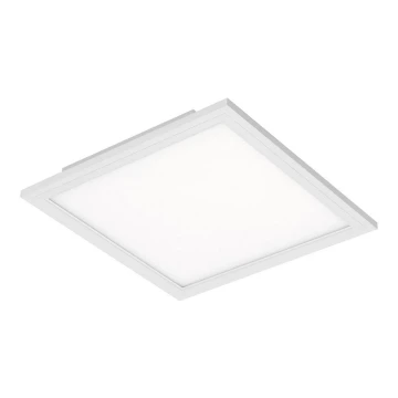 Briloner 7191-016 - LED Stropna svjetiljka SIMPLE LED/12W/230V