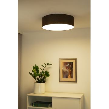 Duolla - LED Stropna svjetiljka CORTINA LED/26W/230V pr. 30 cm 4000K smeđa