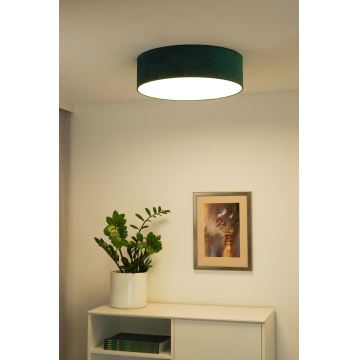 Duolla - LED Stropna svjetiljka CORTINA LED/26W/230V pr. 30 cm zelena