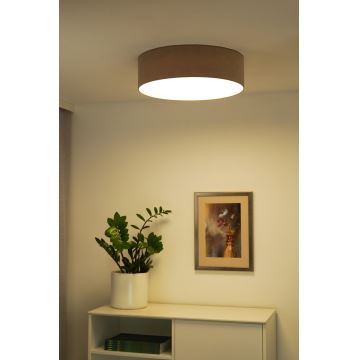 Duolla - LED Stropna svjetiljka CORTINA LED/26W/230V pr. 45 cm 4000K smeđa