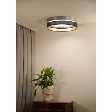 Duolla - LED Stropna svjetiljka ROLLER DUO SHINY LED/24W/230V srebrna/crna
