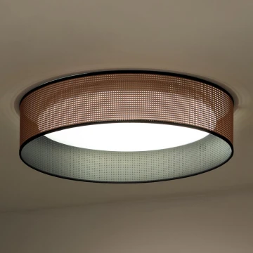 Duolla - LED Stropna svjetiljka ROLLER LED/24W/230V bakrena/crna