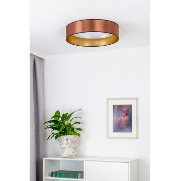 Duolla - LED Stropna svjetiljka ROLLER LED/24W/230V bakrena/zlatna