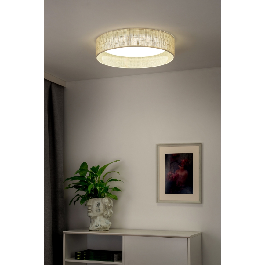 Duolla - LED Stropna svjetiljka ROLLER LED/24W/230V bež