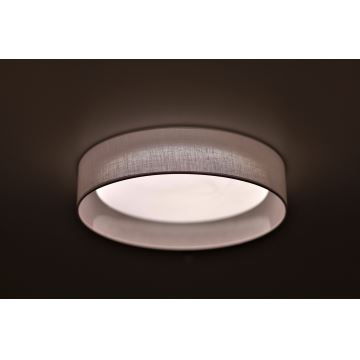 Duolla - LED Stropna svjetiljka ROLLER LED/24W/230V bijela