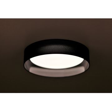 Duolla - LED Stropna svjetiljka ROLLER LED/24W/230V crna