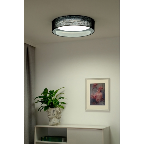 Duolla - LED Stropna svjetiljka ROLLER LED/24W/230V crna