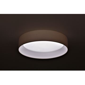 Duolla - LED Stropna svjetiljka ROLLER LED/24W/230V krem