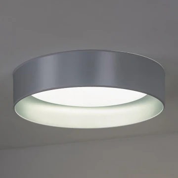 Duolla - LED Stropna svjetiljka ROLLER LED/24W/230V srebrna