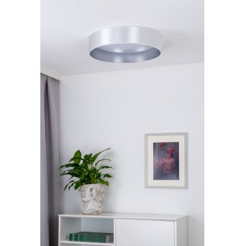 Duolla - LED Stropna svjetiljka ROLLER LED/24W/230V srebrna