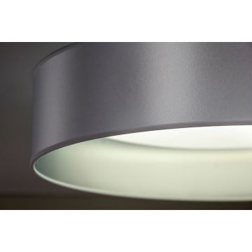 Duolla - LED Stropna svjetiljka ROLLER LED/24W/230V srebrna