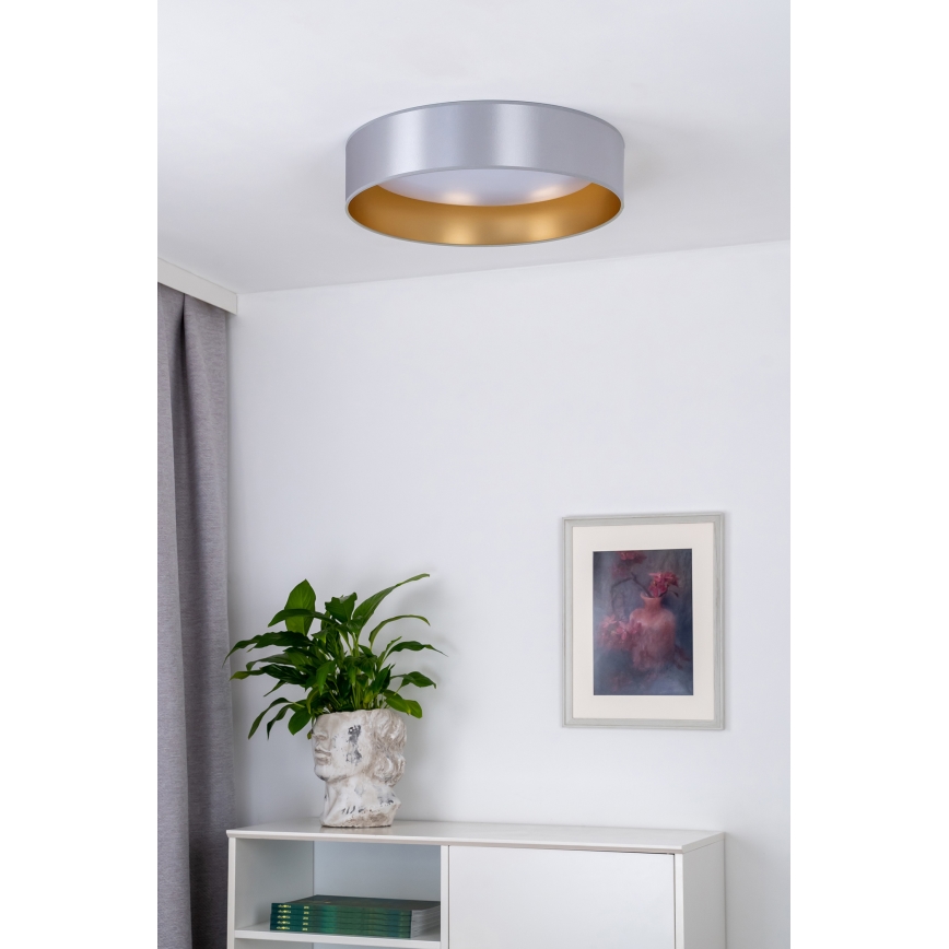 Duolla - LED Stropna svjetiljka ROLLER LED/24W/230V srebrna/zlatna