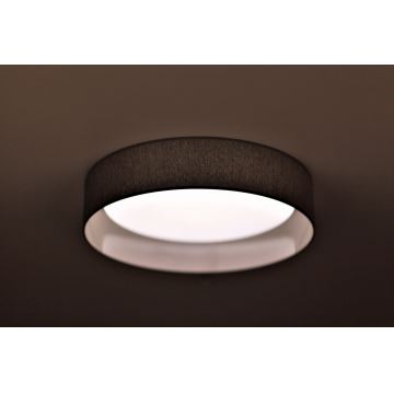 Duolla - LED Stropna svjetiljka ROLLER LED/24W/230V tamno siva