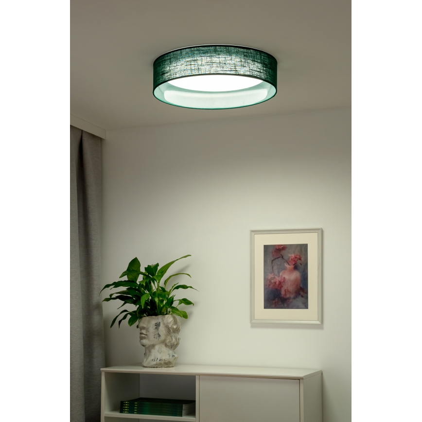 Duolla - LED Stropna svjetiljka ROLLER LED/24W/230V zelena