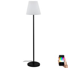 Eglo 31057 - LED RGBW Prigušiva vanjska lampa 1xE27/9W/230V IP44