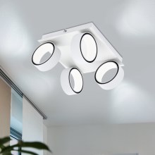 Eglo 39587 - LED Reflektorska svjetiljka ALBARIZA 4xLED/4,6W/230V