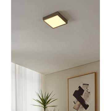 Eglo - LED Prigušiva svjetiljka za kupaonicu LED/16,5W/230V IP44 ZigBee