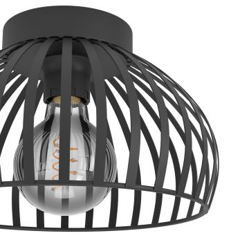 Eglo - Stropna svjetiljka 1xE27/40W/230V pr. 28 cm