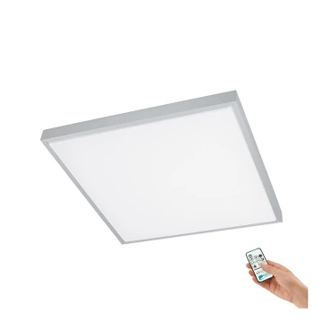 Eglo 93943 - LED Prigušiva stropna svjetiljka IDUN 2 LED/39W/230V