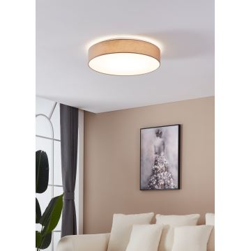 Eglo - LED stropna svjetiljka za prigušivanje LED/40W/230V