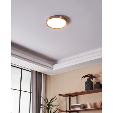 Eglo - LED Prigušiva stropna svjetiljka za kupaonicu LED/19,5W/230V 2700-6500K IP44 ZigBee